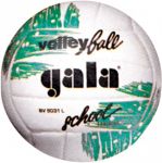 МЯЧ ВОЛЕЙБОЛЬНЫЙ BV5031L SCHOOL