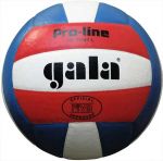 ВОЛЕЙБОЛЬНЫЙ МЯЧ BV5091 L Pro-line Official Сolour