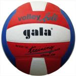 ВОЛЕЙБОЛЬНЫЙ МЯЧ BV 5321SC Training Plus SC