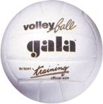 МЯЧ ВОЛЕЙБОЛЬНЫЙ BV5041L TRAINING