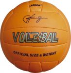 МЯЧ ВОЛЕЙБОЛЬНЫЙ 6300 FEVER