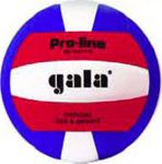 МЯЧ ВОЛЕЙБОЛЬНЫЙ BV5011S PRO-LINE